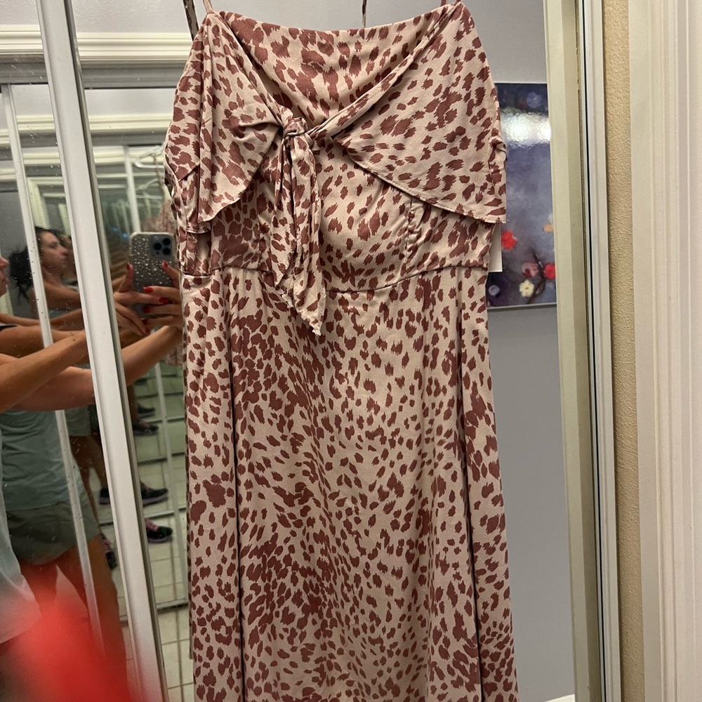 Dress- never worn